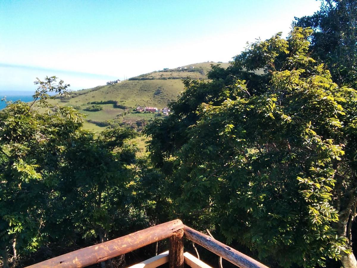 Wildview Self Catering Cottages Coffee Bay, Breakfast & Wi-Fi Inc Buitenkant foto