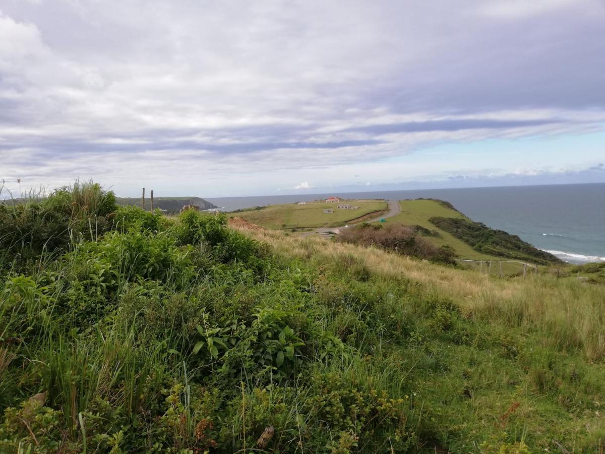 Wildview Self Catering Cottages Coffee Bay, Breakfast & Wi-Fi Inc Buitenkant foto