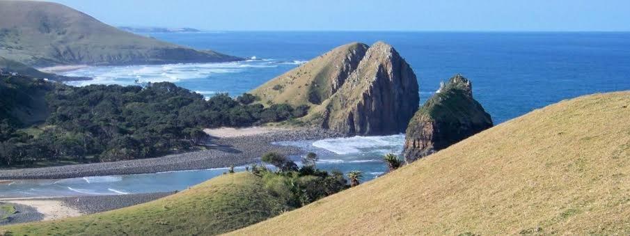 Wildview Self Catering Cottages Coffee Bay, Breakfast & Wi-Fi Inc Buitenkant foto