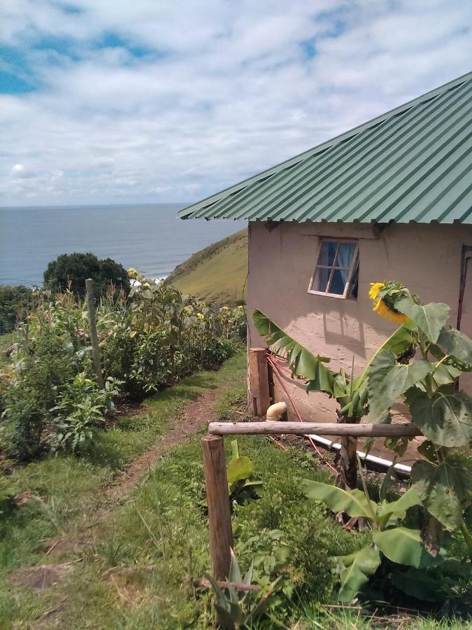 Wildview Self Catering Cottages Coffee Bay, Breakfast & Wi-Fi Inc Buitenkant foto